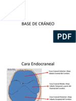 Base de Cráneo