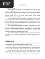 Download makalah-morfologidoc by Abdi Kristianto SN181146359 doc pdf