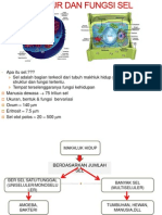 Struktur Dan Fungsi Sel