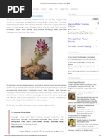 Download 7 Manfaat Temulawak Untuk Kesehatan _ Iwak Pithik by Yuddis Bintang SN181183489 doc pdf