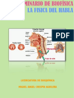 Seminario La Fisica Del Habla