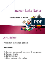 Pyuluhan Luka Bakar