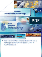 91900882 Seminario de Actinomicetos