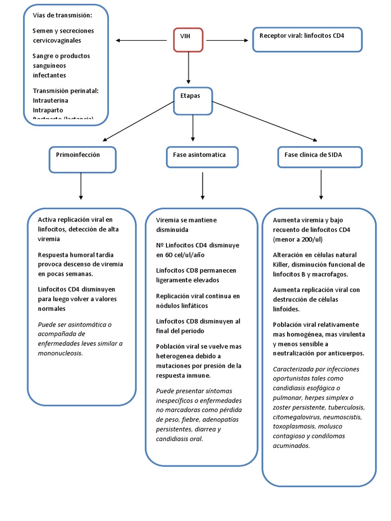 Esquema Patogenia VIH | PDF | Manejo del VIH / SIDA | Linfocitos