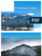 Problemas de Salud Chile-Junio 2013 PDF