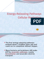 The First Energy-Releasing Pathways