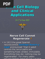 Download Stem Cells and Clinical Applications 2 by tummalapalli venkateswara rao SN18122709 doc pdf