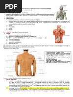 Resumo de Anatomia - Dorso (Camila, Cleiton)