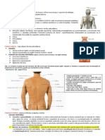 Resumo de Anatomia - Dorso (Camila, Cleiton)