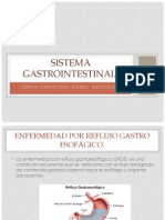 Sistema Gastrointestinal