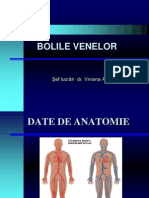 BOLILE VENELOR 2013.pdf