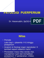 Patology Puerperium.ppt