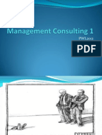 Management Consulting 1