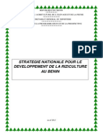 Stratégie Nationale Pour Le Développement de La Riziculture Au Bénin