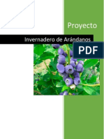 PDN_Invernadero_Arándano.pdf