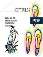 Light Bulbs: - Birds Are The
