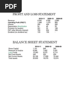 PROFIT AND LOSS STATEMENT.docx