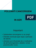 POLUANTI_CANCERIGENI 