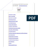 BGP.pdf