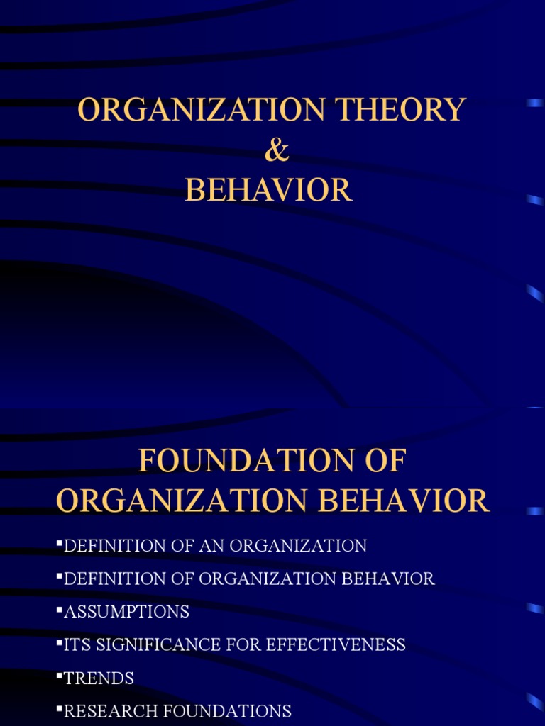 Organizational Behaviour PDF Organizational Behavior Motivation
