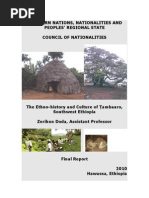 Download The Ethnohistory  Culture of Tambaro Nationality of Ethiopia by doffanaz SN181366908 doc pdf
