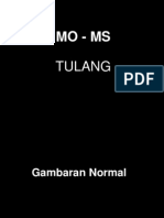 Mo - MS Tulang