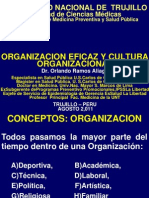 Organización eficaz y cultura organizacional