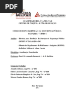 Análise da Diretriz para Produção de Serviços de - Direitos humanos final 1