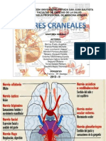 Pares Craneales y SNC - Seminario