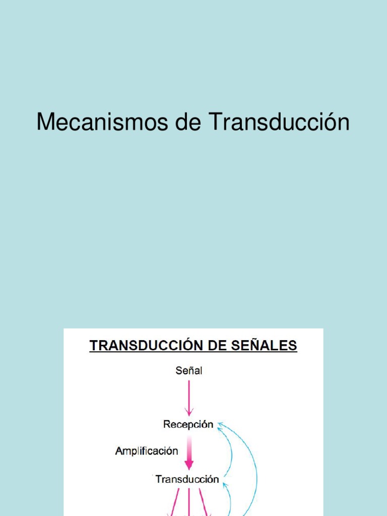 Mecanismos de Transducción Celular | PDF | Receptor (Bioquímica ...