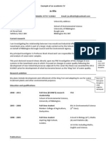 Academic CV Example