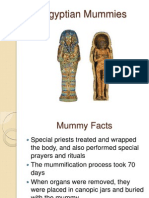 Egyptian Mummies