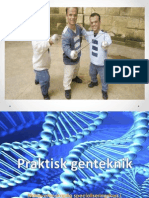 Praktisk Genteknik