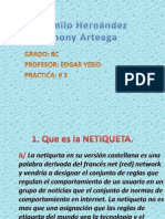 Practica # 3 La Netiqueta