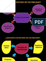 Estudiodefactibilidad 110805180736 Phpapp02