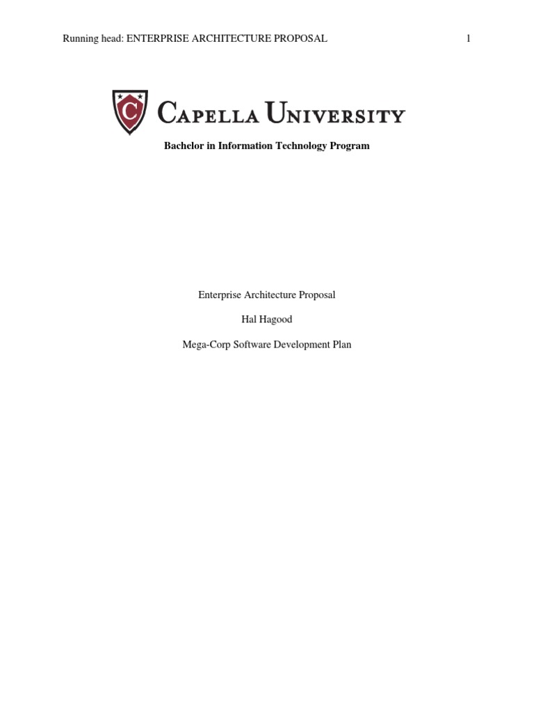 Mega-Corp Enterprise Architecture Plan | PDF | Server (Computing ...