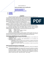 Aspectos psicológicos de la clasificación en niños