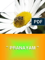 PRANAYAM - Respirao (s)1