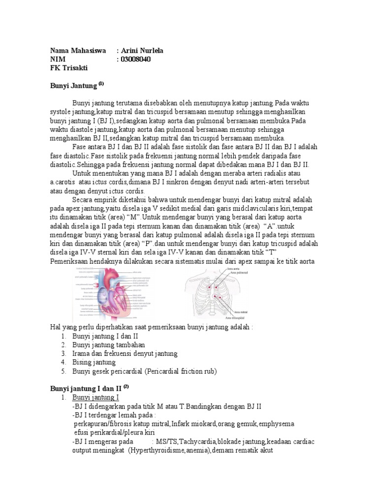 Bunyi Jantung  Bunyi Jantung  dan murmur