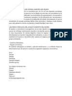 Anatomía y Fisiología Del Sistema Digestivo Del Equino