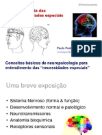 1 Neuropsi Deficiencias C Basicos