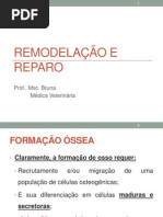 Remodelacao e Reparo