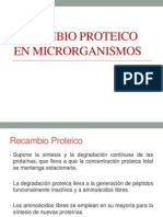 Recambio Proteico en Microrganismos
