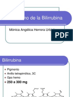 metabolismo-bilirrubina