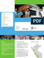 Programa de Prevención Del Consumo de Drogas y de Rehabilitación de Toxímanos - Fase II PDF