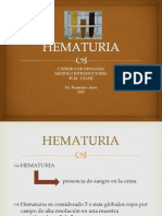 Hematuria 2013