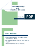 Kristyn Feldman Histology.pdf