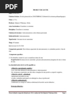 Download Proiect de Lectie Autocunoasterea by Sabo Mihaela SN181642498 doc pdf
