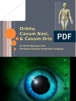 Cavum Orbita