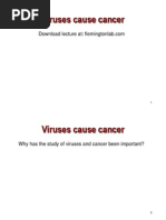 Tumour Viruses